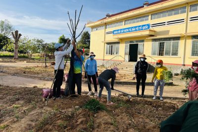 Trường Tiểu học Nguyễn Trãi tổ chức trồng cây xanh – Công trình chào mừng 40 năm ngày Nhà giáo Việt Nam 20/11/1982-20/11/2022